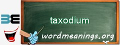 WordMeaning blackboard for taxodium